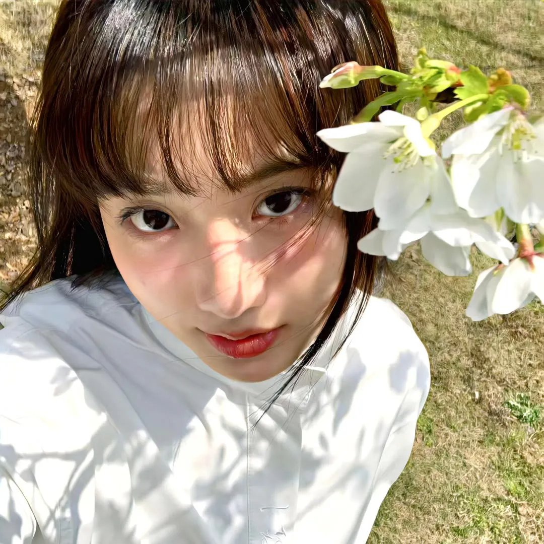 叔比狗..恐怖稻草人