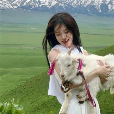 带子雄狼:出租孩子与武艺